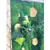 Obraz - kombinace mechů a stabilizovaných rostlin průměr 60 x 60 cm - 02.jpeg