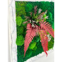 Obraz - kombinace mechů a stabilizovaných rostlin, rozměr 50 x 50 cm, bílý